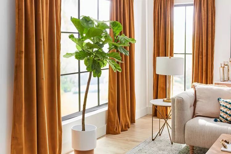 ����� ����� �������� �����: 6 ��������� ���������