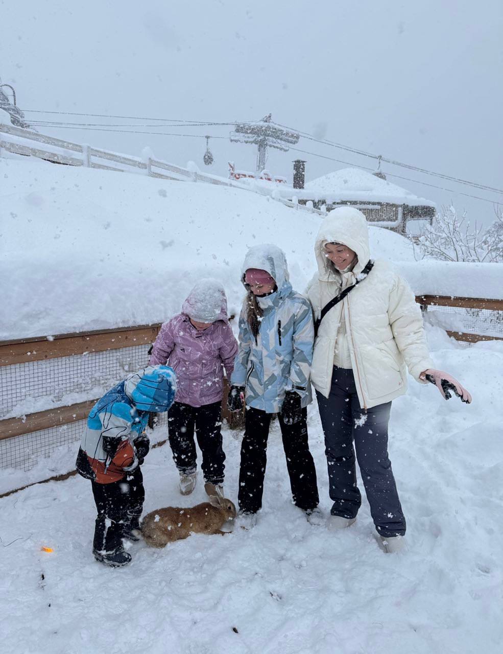 Марина Ким: С 1 марта меняется порядок расчёта алиментов