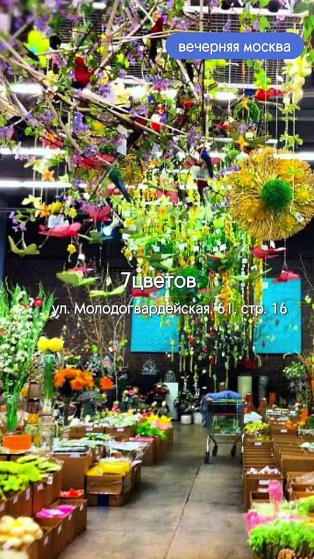 �� ����� ���� ����, �� ������ ����� ��������� � ������ ���������� ��������� � 8 �����