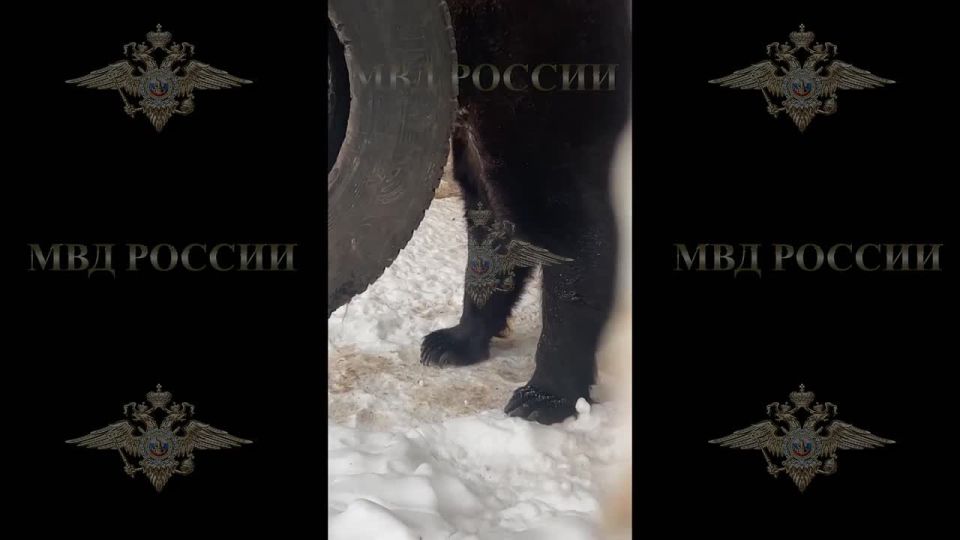 ����� ����: ��� �������, ���, ������ � ������ � ����� ������� ������� ���������� ������������� � ������� ���������� �� ���������� ������������ �������������� � ���������� �������� �������������� ������