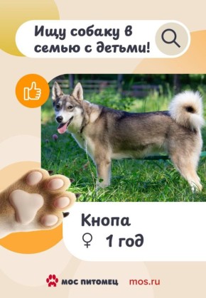 ����� ����� ������� �������������������� � �����