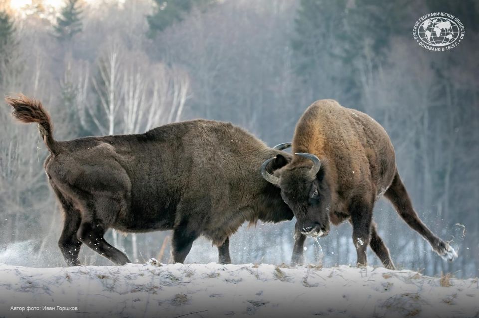 Ваш ребёнок любит наблюдать за природой и фотографировать?