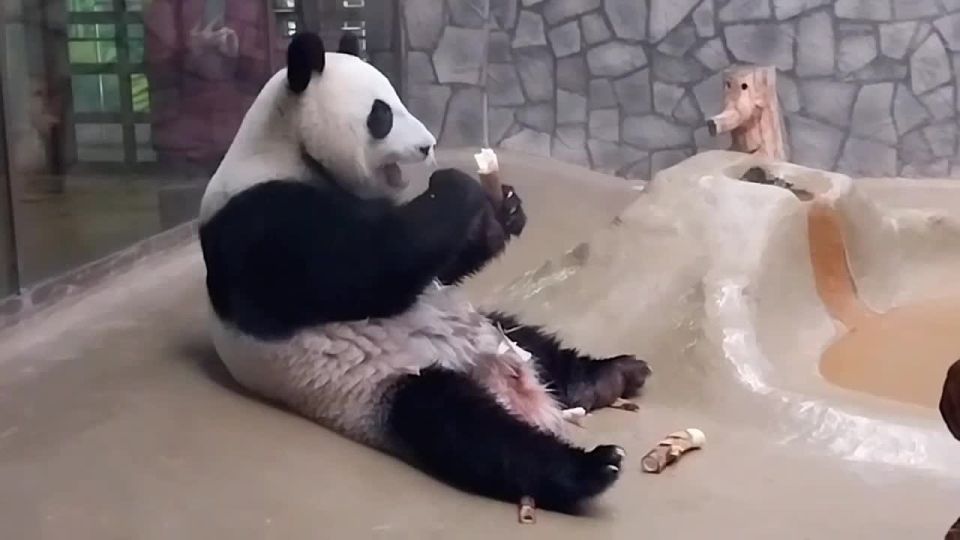 ��� � ���� ��-���������� ������ ����, ��� ��� � ����� ������ �� ����������� ��������