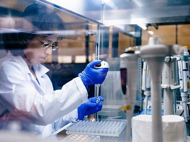 ������� ��������� ���� �� ������ ������������ ������ �������