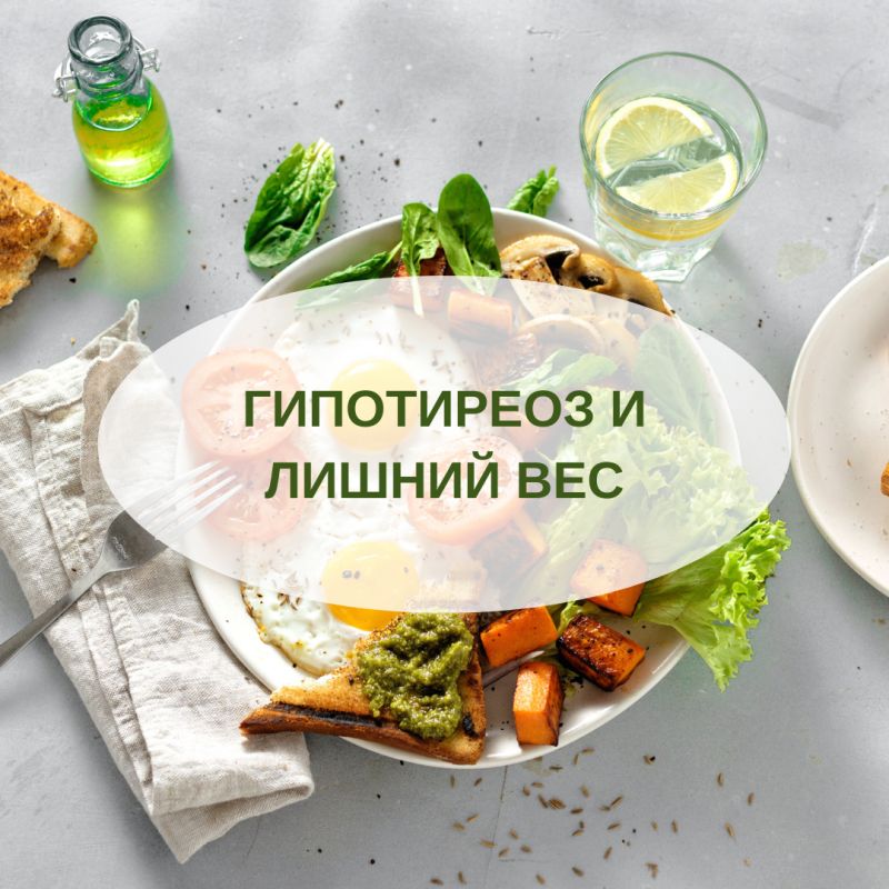 ���������� � ������ ���