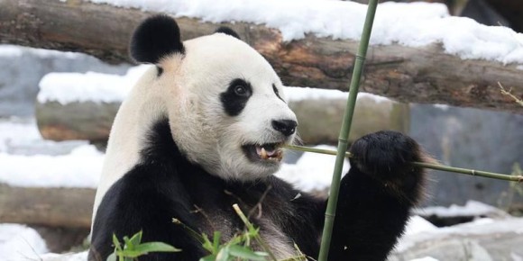 ���������� ������� ������� �� �������� ����� ������ � ������ ������ � 12:00 �� 17:45