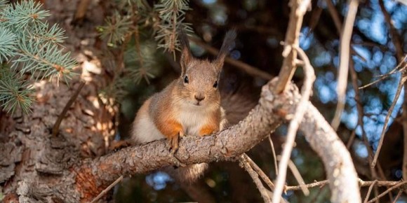 ���� ���������� ��������� �� ����������� � ���������� ��� ����� �������