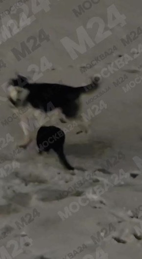 ����� �������� �������������� ����� �� ����� ��������