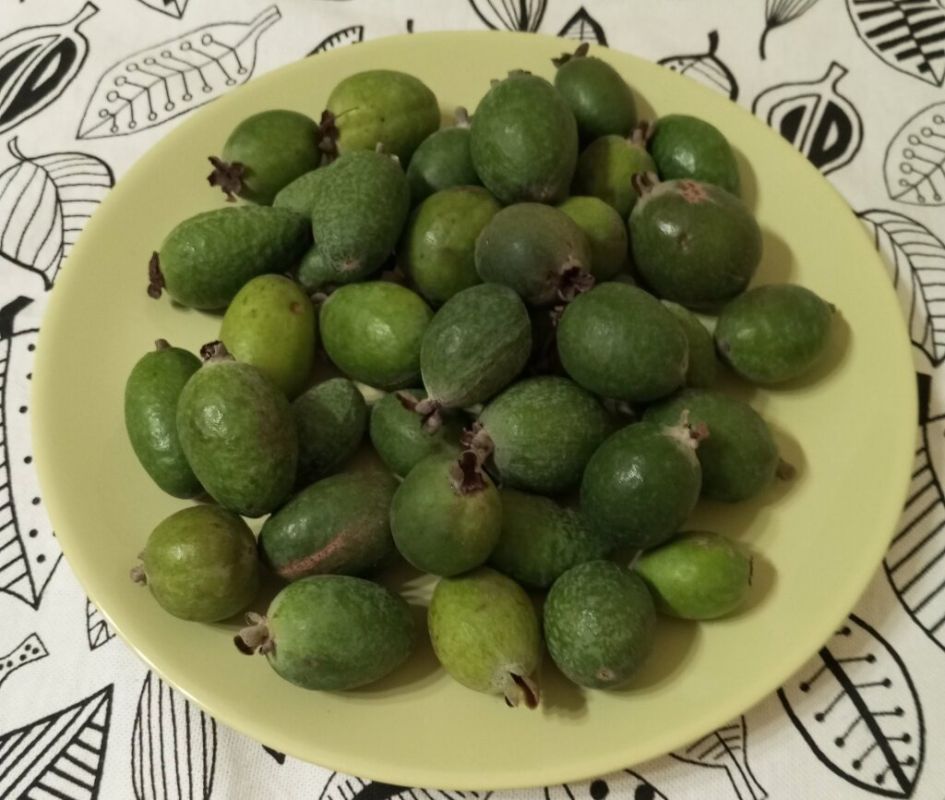 ����������� ������ �� �����������: �������� ������