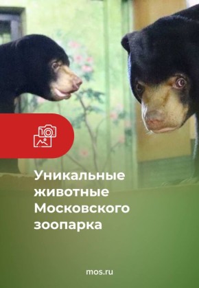 ��������� ����������� �������� �� ������� ��� ����������� 30 ������� � ������������� ������ ��������