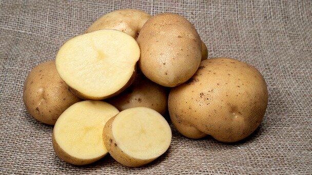 ����������� ��������� ��������: ��� ������� ������� ��� � ������� ��������