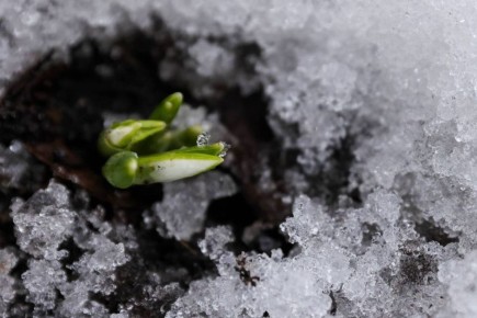 � ����� �������� ���������� ������ �����������