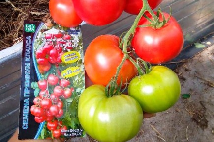 ������ ����� ������: ������� ��������� �����������