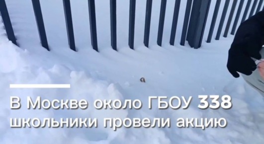 Екатерина Мизулина: В Москве подростки на днях провели акцию у школы 338, чтобы привлечь внимание правоохранительных органов к попыткам суицида у учеников