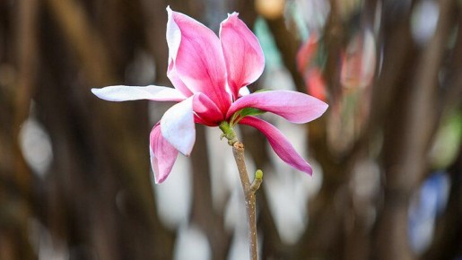 ����� �� �������� ������ ������ �� ����, �������, ��������� � ����������� ������ �����������