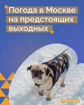 ������ ������ �� ������ ��� �������� � ���������: � ����������� �������� � ������� ��������� �����������