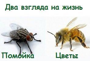 ��� ���������� �� �������� ���������� � ����� ����������