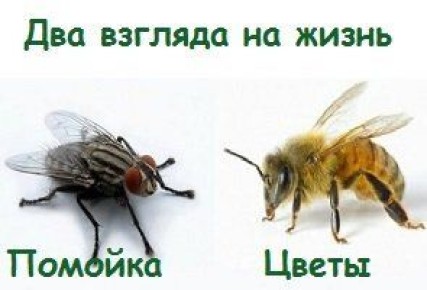 ��� ���������� �� �������� ���������� � ����� ����������