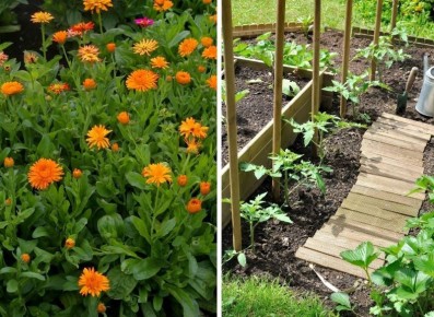 ����� �������� ���������� ������������� �� ��������: ������� ������� ���������