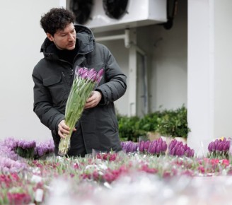 �������, ������� �� ����� ����������: