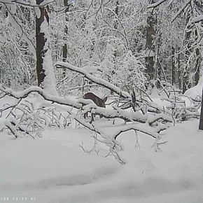 �� ������ ����������� � ����� ������ ������