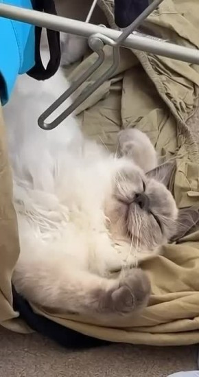 ������ ����, ������!. ��������� ������� � ������ ��������, ������� ������� �������� ��� ������, ��� ������ � ������, �� � ������� ���� � �����