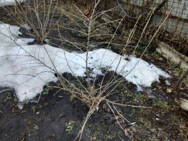 ������ ����� ��� ���������: ��� �������� ����� �� �������� � ����������