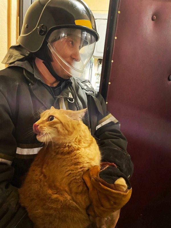 ������ ����� ��� ������ �� ���� � ������� � ���������� ����������� � ������