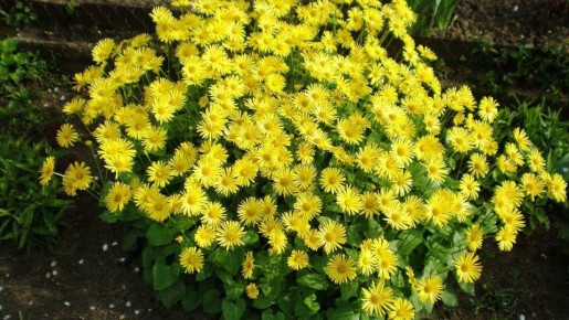 ��� ������� �������� ���: ������� ������ � �����