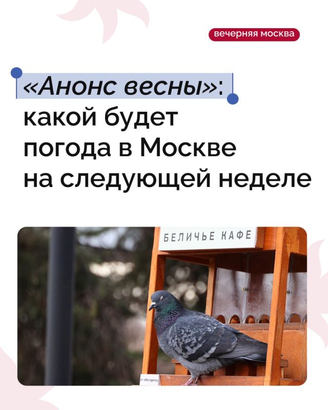 ������ ��������� ������ �������� ��������� �����������, ��, � �������, ��� ����� ��������