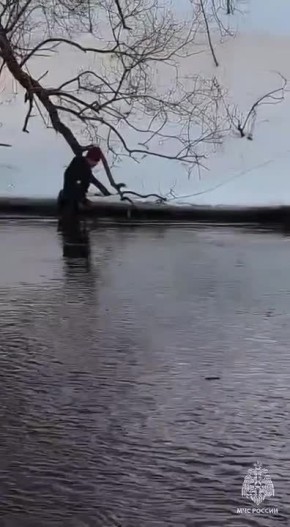 ���������� ������ ����� ��������� ����� ������� � �����������