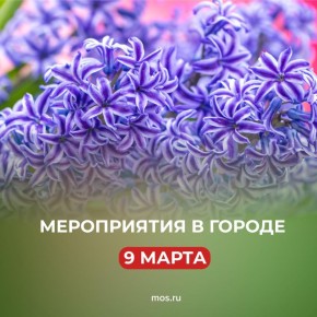 ������� ��������� ���� ������� ��������