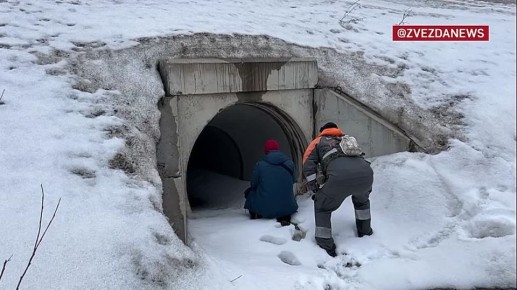 ��������� ���� ��������� � ����������� ����� � ������� � � ���� ������ ��������