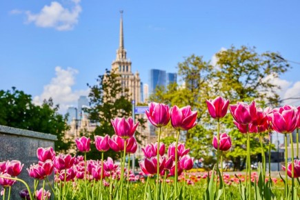 ������ ����� ������ ��������� � ������ ���� � ����� �������� ����� ��������