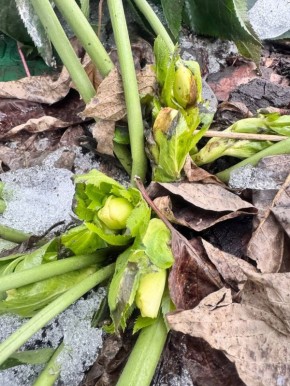 ���������: � ������ ���������� ����������������� �����! ������ �� 10 �����