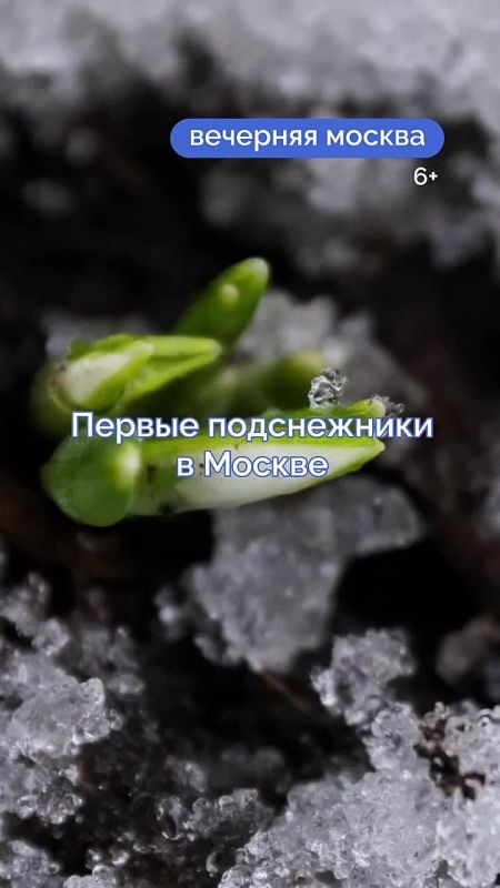 � �������� ����� ������ �� ������ ��: � ������ �������� ������ �����������