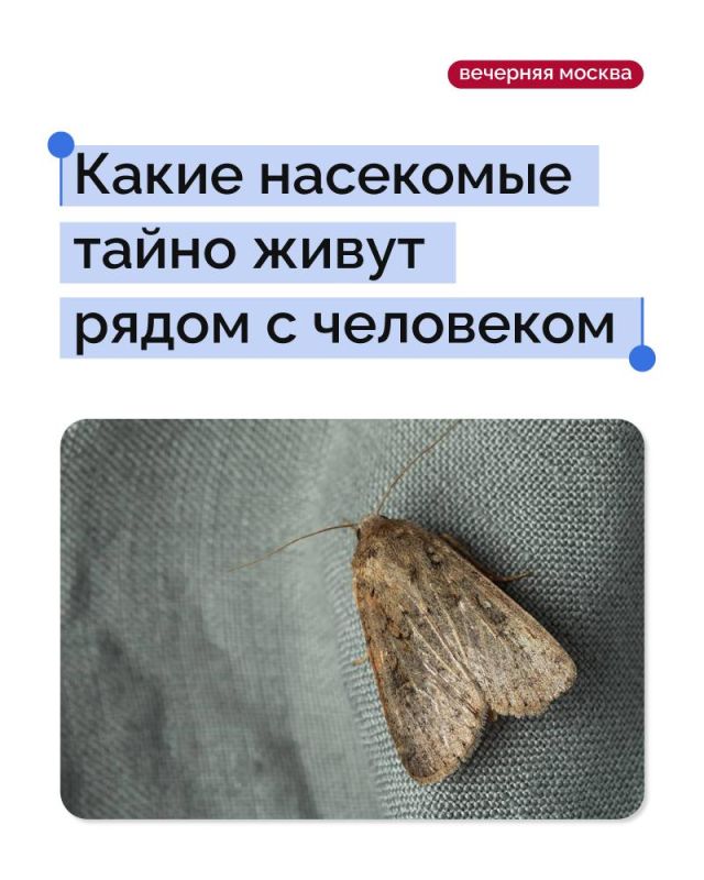 ������ ������, ��� ��� �������� ������ ��������, ��������� ��� ��������� �������� �� ������ � ���������� �����������