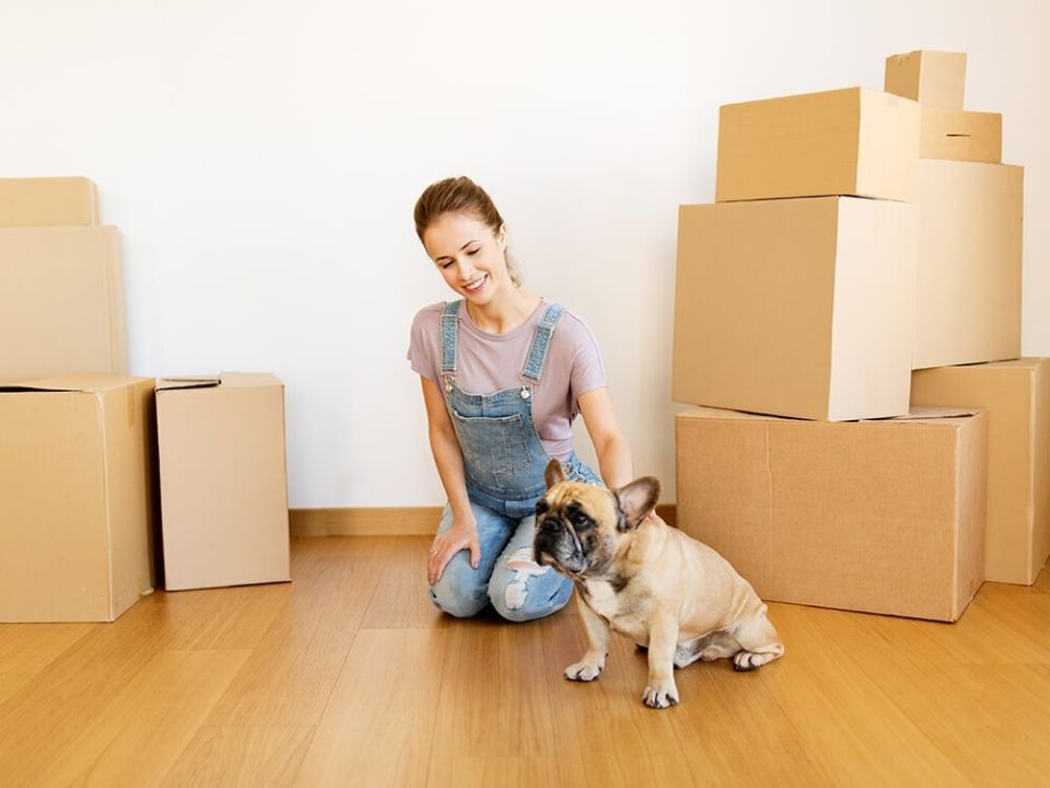 ��� ����� ����� � ��������: ������ �� ������ ��� ���������� �����