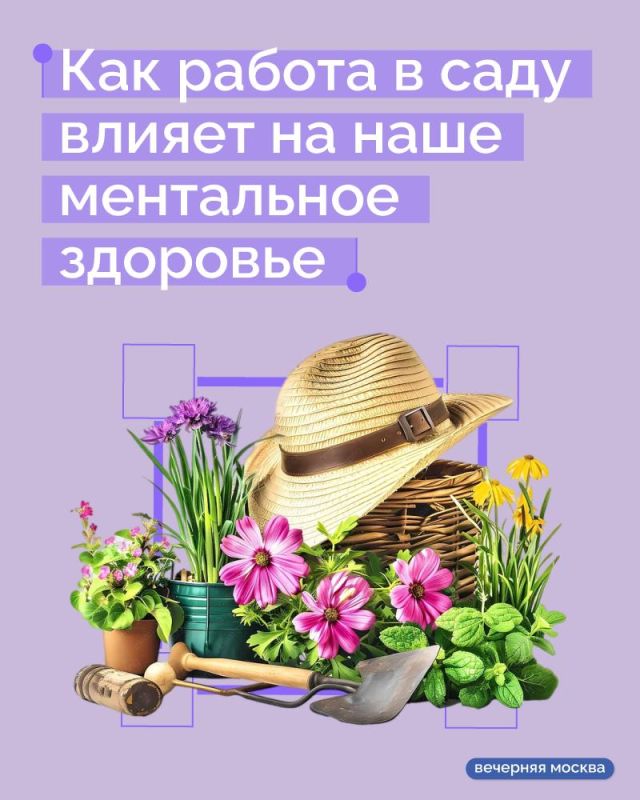 «Нам этот мир абсолютно понятен, мы ищем в нем только спокойствие и грядки»: ученые заявляют, что садоводство — это лучший антидепрессант