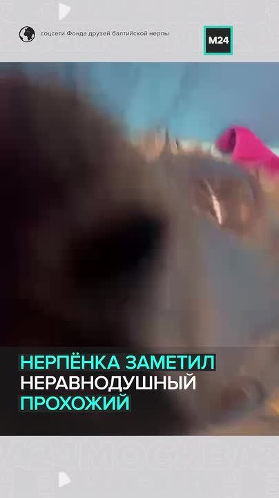 ���������� ������� ����� ������ �� ������