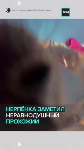 ���������� ������� ����� ������ �� ������