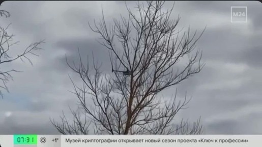 ��������� � ����������� ���������� ��������� ������ ���� �� ������� ����