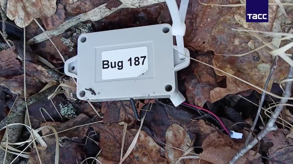 ���� ��������: �������� ��������� ���������