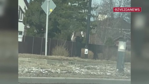 ����� ����� ������� ������� ���������� ������� ���������