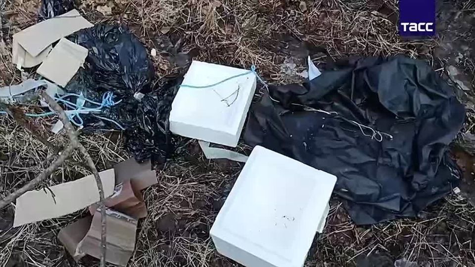 ������ ������������ ������� ��������� �� ���������� ���� �� ������� ���������