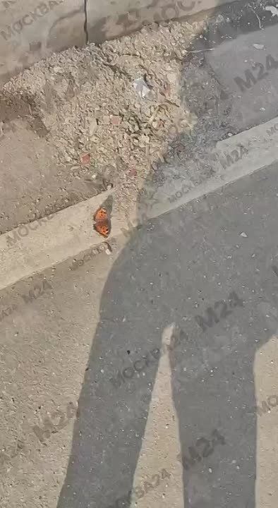 ���������: ����� ������ ����� � ������!