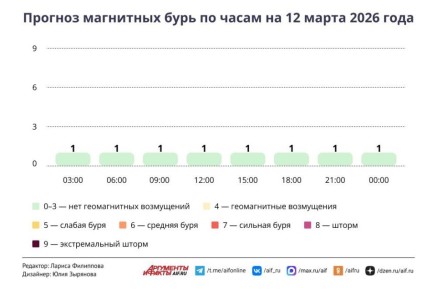 ������ � ������ 12 �����. ����� �������� � ������ ����