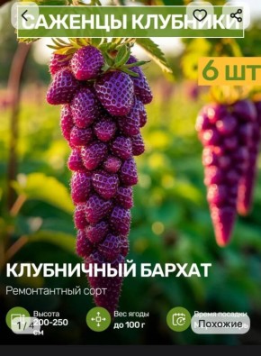 ������� ���������� �������� ��������� ������� �� �������������