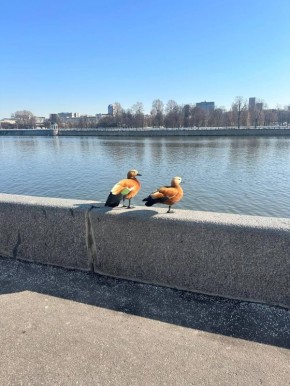 ���������: � ������ ������ ����������� �� +12