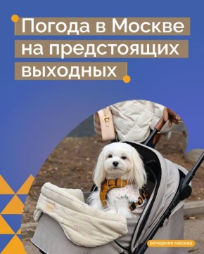 ����� �� �������� � ���������� ������ � ��������: ���������� � ��������� ������� �����������